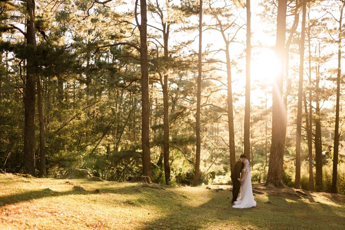 Light through the pines — Real wedding