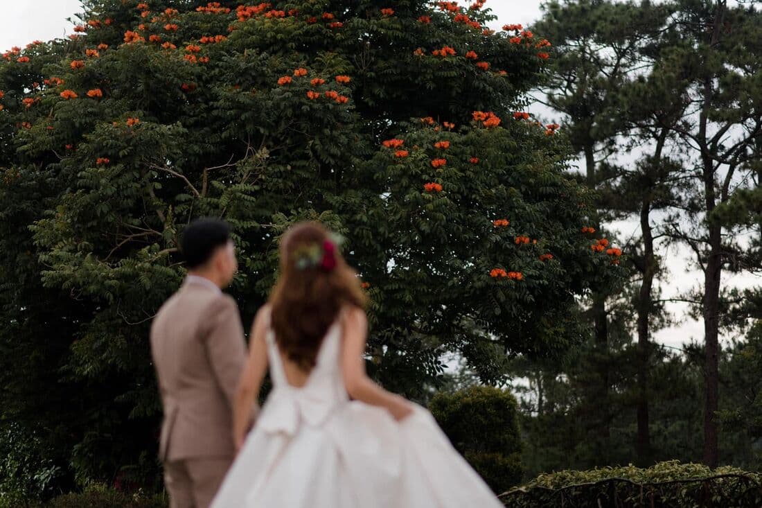 A couple walking toward the treeline